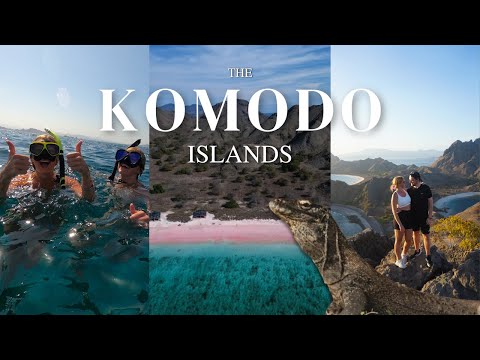 4 Days Sailing The KOMODO ISLANDS - I Nearly Got Eaten By A WHALE SHARK! | Labuan Bajo, Indonesia 🇮🇩