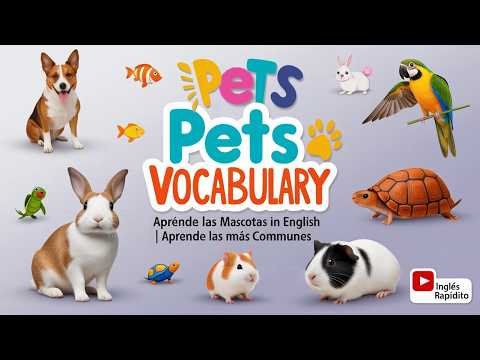 Aprende Vocabulario de Mascotas en Inglés: Perros, Gatos, Pájaros y Más | Inglés Rapidito