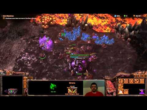 Starcraft Mass Recall: Overmind 07: The Culling