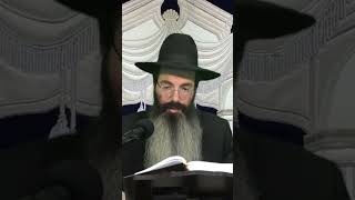 הילולת הבת עין הרב נתנאל אביסרור (בית הכנסת מוסאיוף) - התמונה מוצגת ישירות מתוך אתר האינטרנט יוטיוב. זכויות היוצרים בתמונה שייכות ליוצרה. קישור קרדיט למקור התוכן נמצא בתוך דף הסרטון