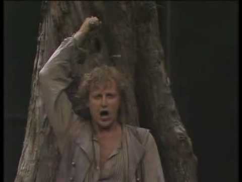 Die Walküre, act one