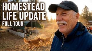 Full Homestead Update | Our Dogs, Chickens, and Property
