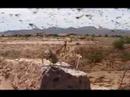 download lagu mp3 mp4 Revelationmovies Com, download mp3 Revelationmovies Com free download, download mp3 Revelationmovies Com