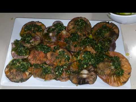 download lagu mp3 mp4 Rovellons A La Brasa, download lagu Rovellons A La Brasa gratis, unduh video klip Rovellons A La Brasa