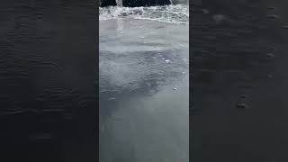 自然眺める