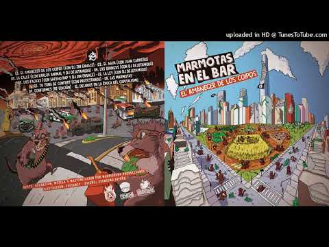 Las marmotas - Marmotas En El Bar