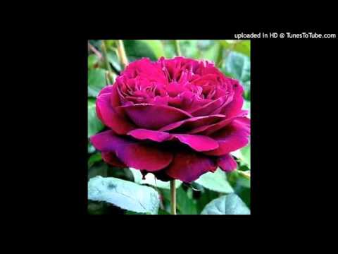 Rocky Chauhan aye mere humsafar