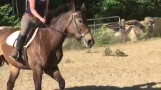 Foreign Exchange June