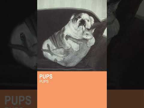 PUPS - PUPS (2013) [Full Album] {Rose Melberg}