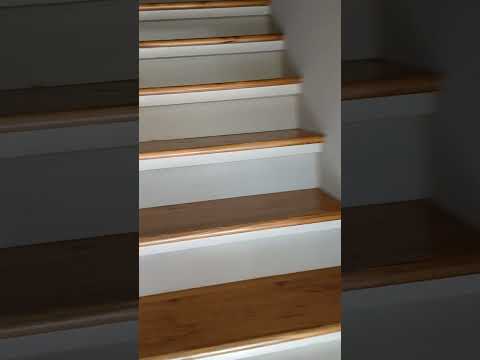 3007 S Roan St Johnson City TN 37601 - Video 2 of 2