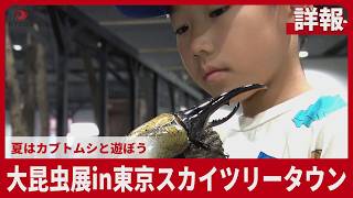 【詳報】大昆虫展in東京スカイツリータウン 夏はカブトムシと遊ぼう