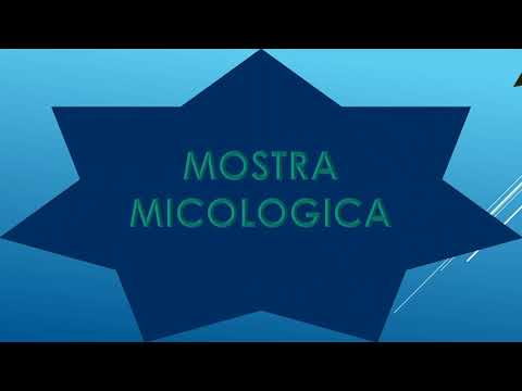 #NOICISIAMO - PRESENTAZIONE PRO LOCO ZUGLIANO