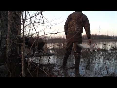 Archive 53 Video thumbnail