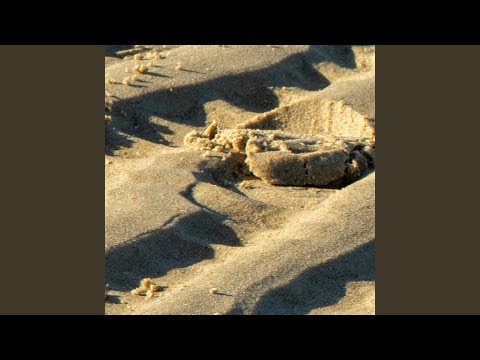 Tatsuki’s Forgotten Promise