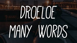 DROELOE - Many Words (Flaws X DROELOE Remix)