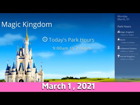 Walt Disney World Today Resort Tv Loop - WDW Resort TV