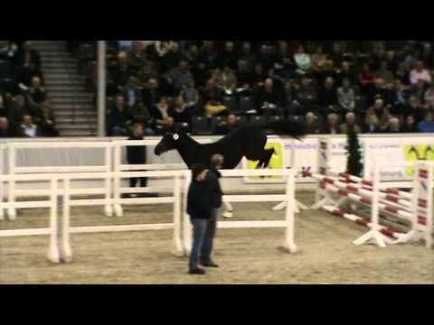 N31 - Fidertanz - Donnerhall