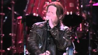 Don Henley The End of Innocence Live at Farm Aid