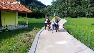 Download lagu Status wa bisane mung nyawang mp3 Download lagu Status wa bisane mung nyawang mp3