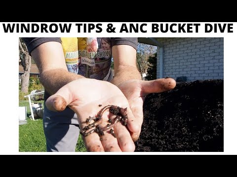 Windrows Tips & DEEP WORM FARM ANC Bucket Dive (FIRST TIME LOOK)