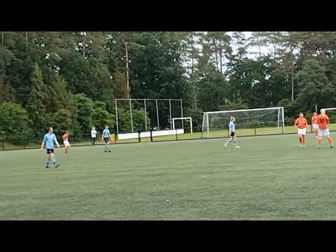 #vlog#van#bekende#abi#vv#dieren#vr1#dvv #duiven #vr1#samenvatting (5)