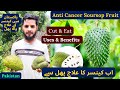 All About Soursop Fruit | Anti Cancer Fruit | Cut And Eat | Uses And Benefit | Rare Garden