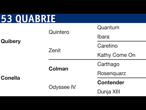 Holsteiner Körung 2018 | Nr. 53 - Quabrie