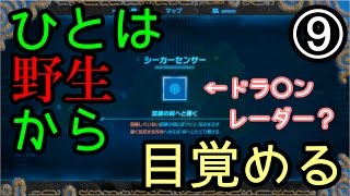 ゼルダの伝説 ブレス オブ ザ ワイルドなのでワイルド（上裸）に実況プレイ⑨