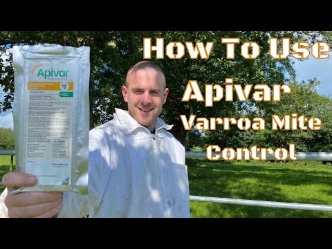 , title : 'How to use Apivar To Treat Your Bees For Varroa Mites'