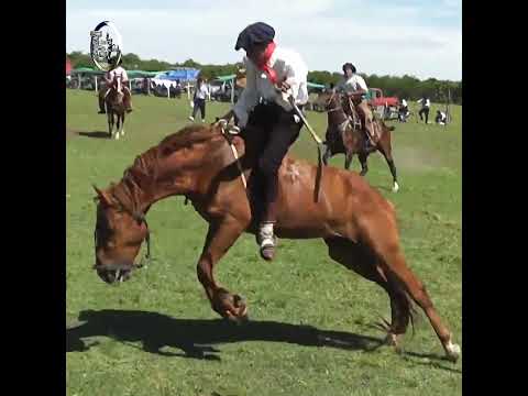 Ruedo en Cina VINE a JINETEAR en Campo El Matrero en Macia Entre Rios
