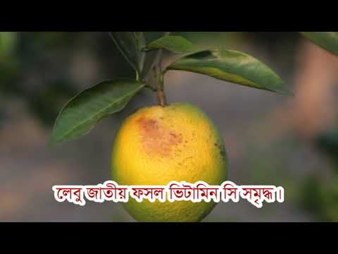 ভিডিও গ্যালারী