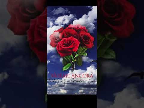 VASAME ANCORA(UFFICIALE 2020)-Packy G frat. Ivan Granatino