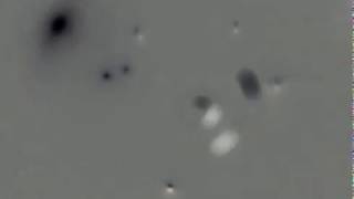 The Little Heart Beats So Fast - The Field