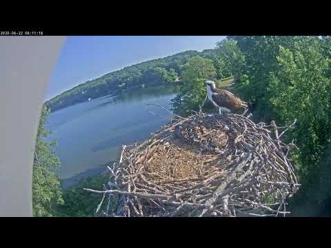 20200622 081045 20200622 081226