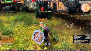Warhammer Online Age Of Reckoning Gameplay and Commentary