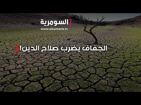 فيديو | من أراض زراعية إلى بقع يابسة... جفاف قاس يضرب صلاح الدين والحلول مفقودة