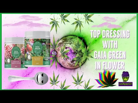 How To Top Dress Cannabis in Flower With Gaia Green | Recharge