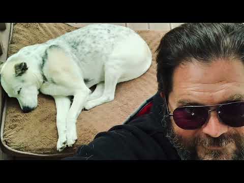 220101 Pet friends over the years