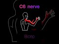 pinched nerve in the neck? #shorts