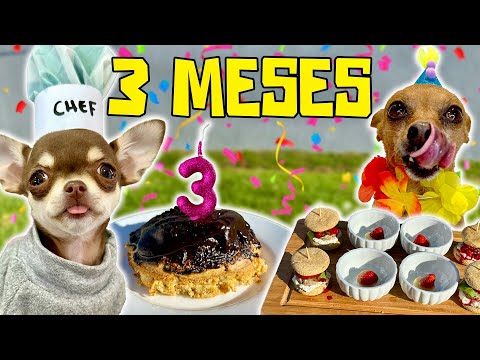 Primeira FESTA DE ANIVERSÁRIO / MESVERSÁRIO da POLENTA - 3 meses de vida!