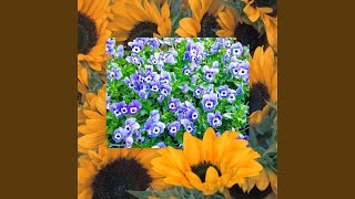 Download lagu AKU INGIN SEPERTI MEREKA mp3