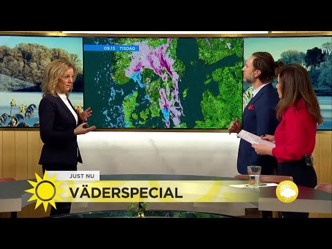 Här drar snöovädret fram – så här ser väderläget ut just nu - Nyhetsmorgon (TV4)
