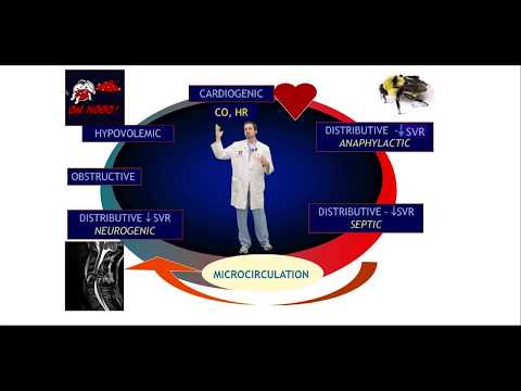 Shock and perfusion in ICU