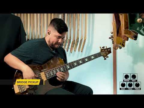 Sound Review #1 | D’Mark Omega 5 strings | Danilo Macapá | D’Mark Guitars