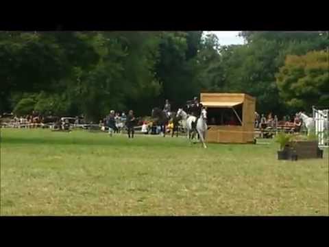 For sale goldenshelter monishaar (2015)