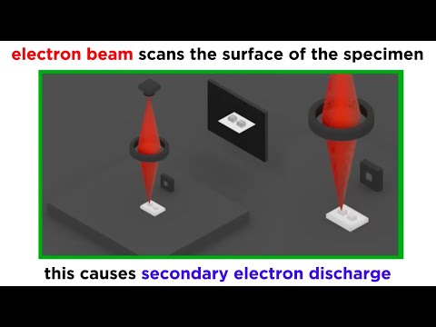 Electron Microscopy (TEM and SEM)