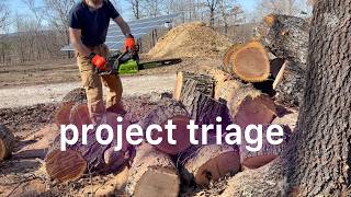 How to Triage Your Homestead Projects (Stop Feeling Overwhelmed!)