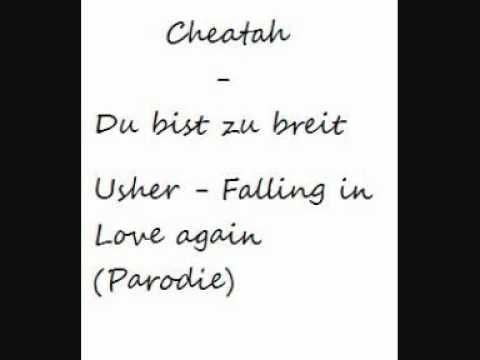 Usher ft. Pitbull - DJ Got Us Falling In Love Again Cheatah - Du bist zu breit (Parodie)
