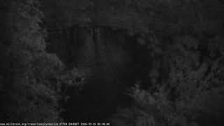 Trevor-Lovejoy Zoo Pond LIVE live webcam