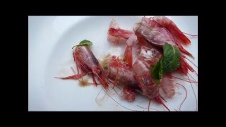 TARAF DE HAIDOUKS .Absinth i drink you, absinth i eat you